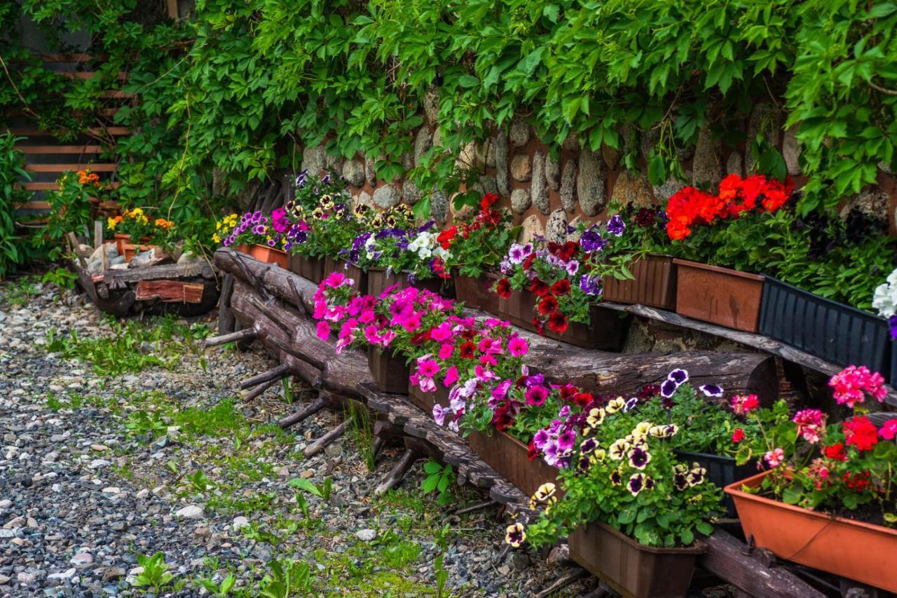 Pokoje Z Widokiem Na Gory I Prywatny Domek Z Zadaszona Altana - Grillem I Ogniskiem. Zakopane Exterior foto